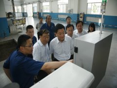 市向导来公司调研指导事情